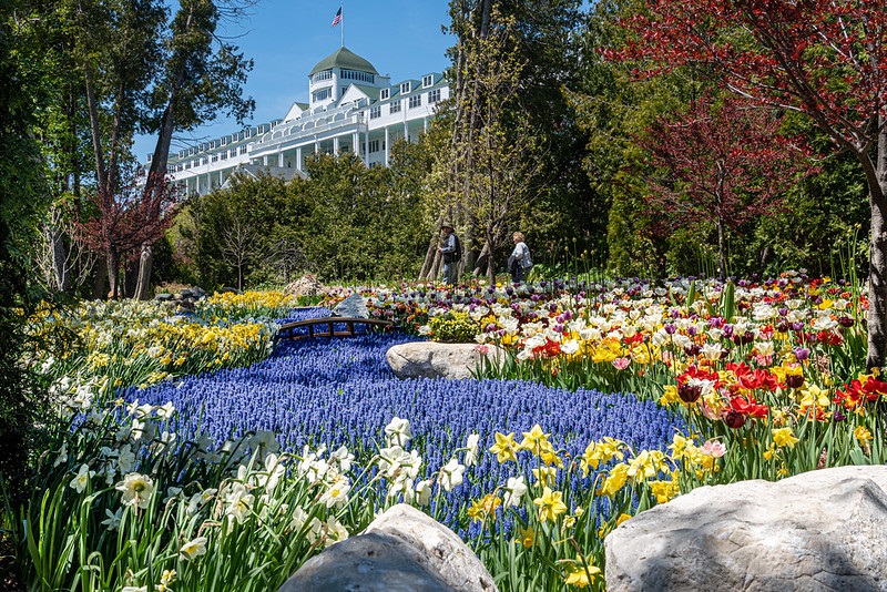 Mengapa Karangan Bunga Medan Begitu Istimewa?